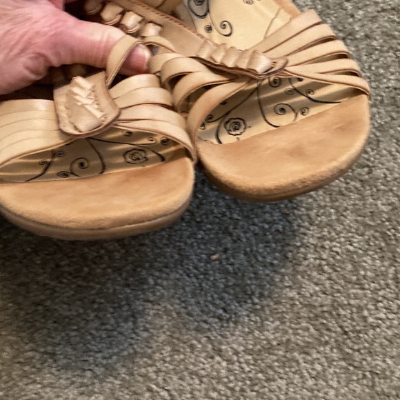 Bare traps - Picture 7 of 8